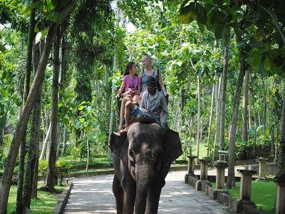 Bali Ayung Rafting and Elephant Ride Tour, Bali Elephant Ride Adventure