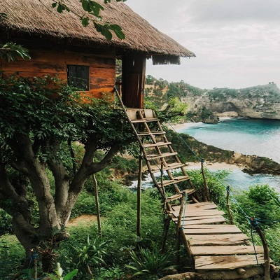 Tree House Molenteng