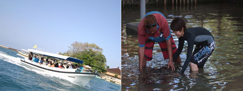 Bali Water Sports Tour, Glass Bottom Boat and Turtle Islands in Bali